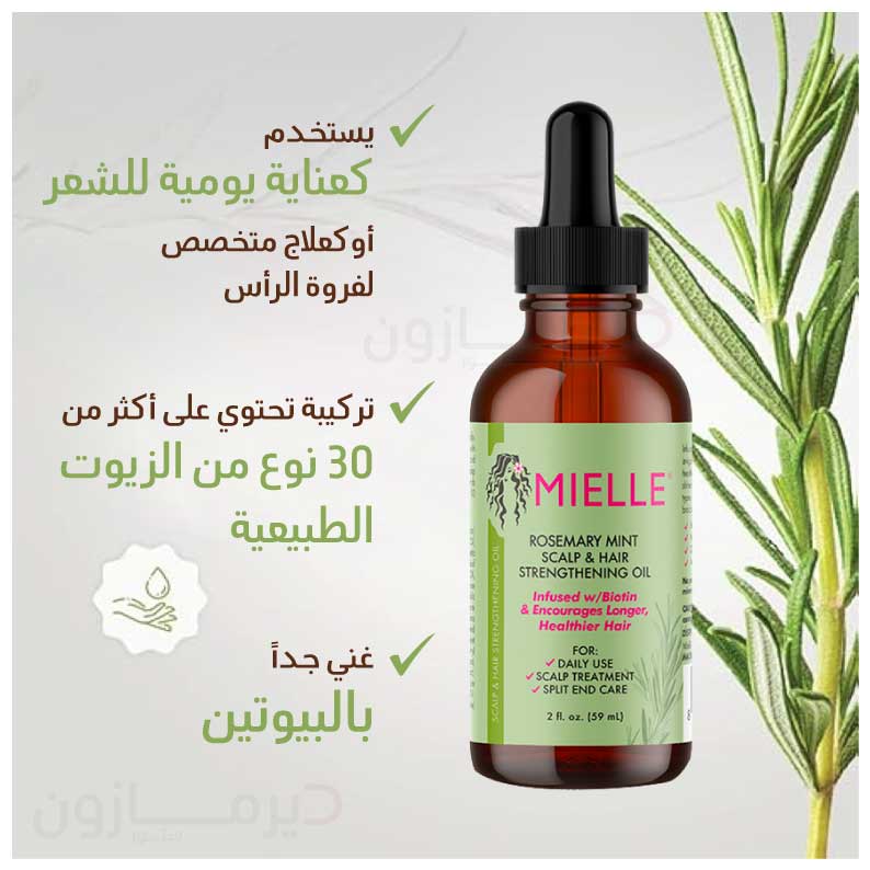 Mielle Oil with Rosemary and Peppermint For Hair – Dermazone Store