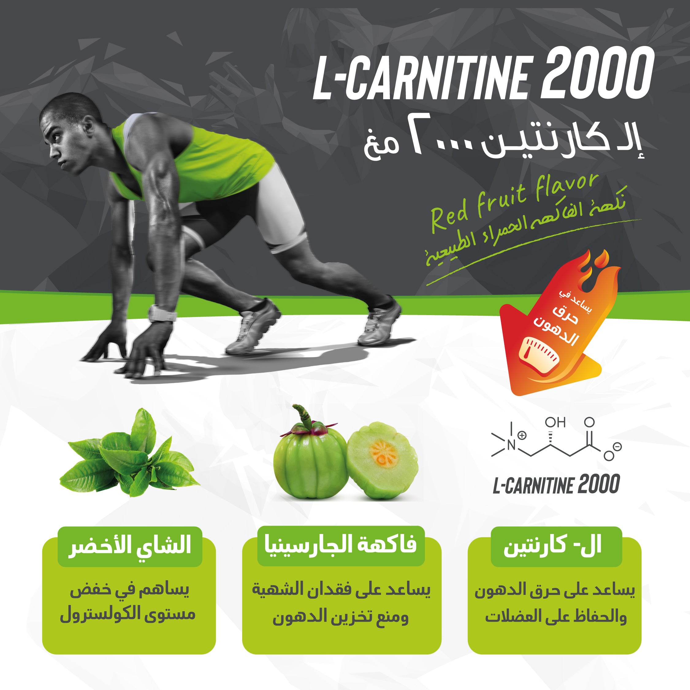 L-Carnitine Weight Loss & Fat Burning Package